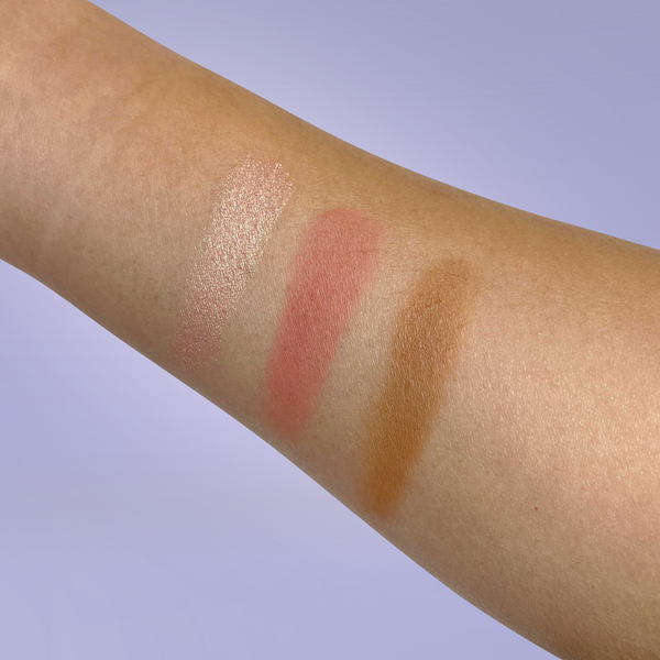PRO CHEEK PALETTE