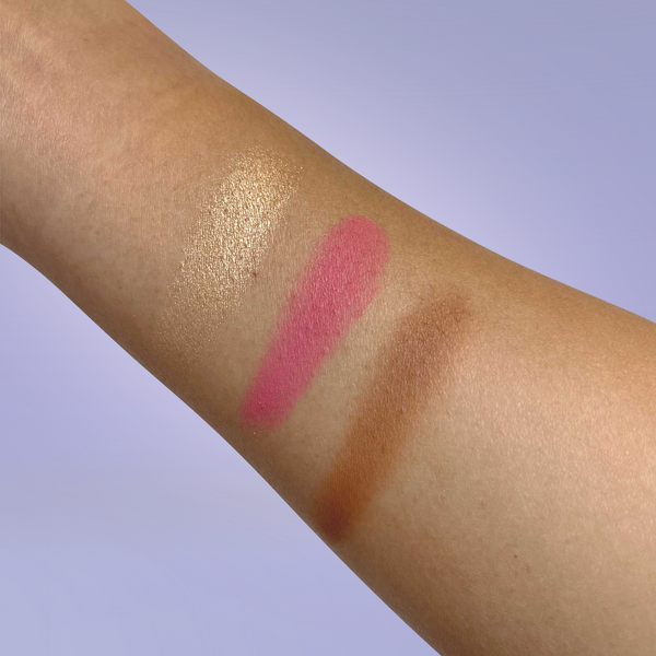 PRO CHEEK PALETTE